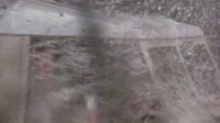 神探飛機(jī)頭2 金·凱瑞 嘁哩嘁哩梆梆