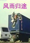風(fēng)雨歸途