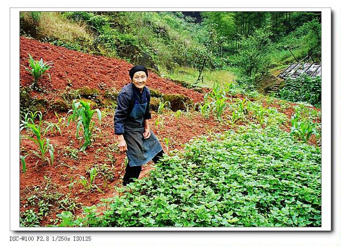 http://www.fjsenfa.cn/pics/default/download/cf3fac071f9f246661537c2fdf10d701.jpg
