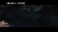 【看大片】魔幻星塵Stardust (2007)中文預告