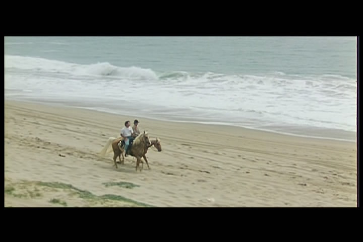 http://www.fjsenfa.cn/pics/default/download/cf7ae197882d1f166628da4bc54c610b.jpg