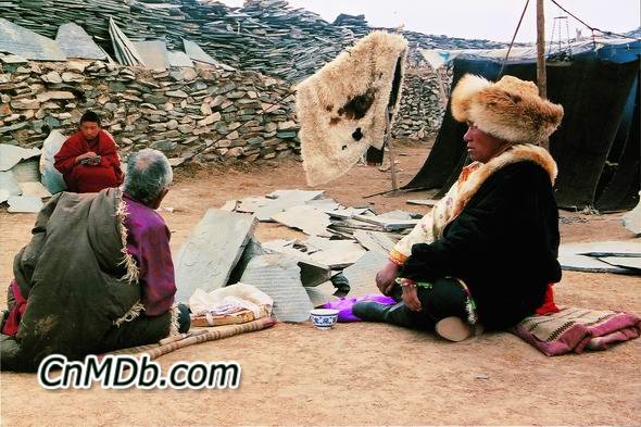 http://www.fjsenfa.cn/pics/default/download/cf7cf8d55c12ec155a6f545a9af2e0f1.jpg
