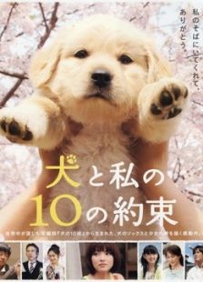 狗狗與我的十個約定