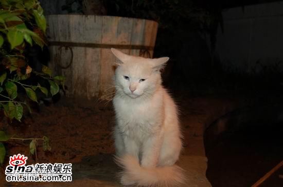 http://www.fjsenfa.cn/pics/default/download/d011f95313007f94305322f2265c63af.jpg