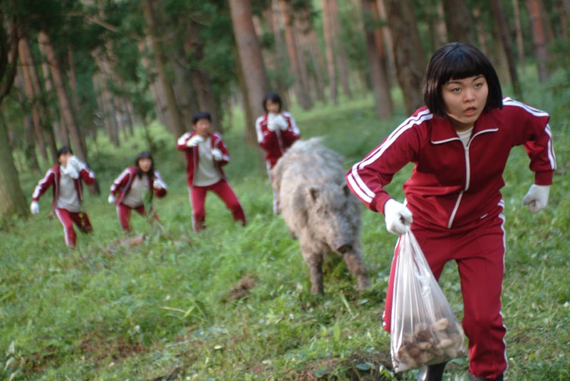 http://www.fjsenfa.cn/pics/default/download/d0b8f19a3f6d2eadd84995aebaf0ba88.jpg