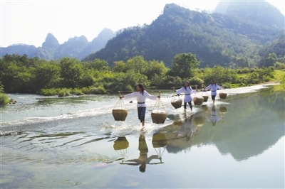 http://www.fjsenfa.cn/pics/default/download/d133c2da9030b54a7e0075b02bfaf9bb.jpg