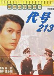 代號213