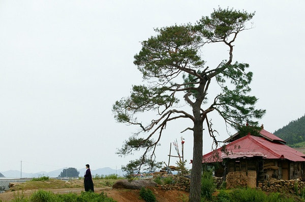 http://www.fjsenfa.cn/pics/default/download/d28f57f1b6e2982976aafd83081c060f.jpg