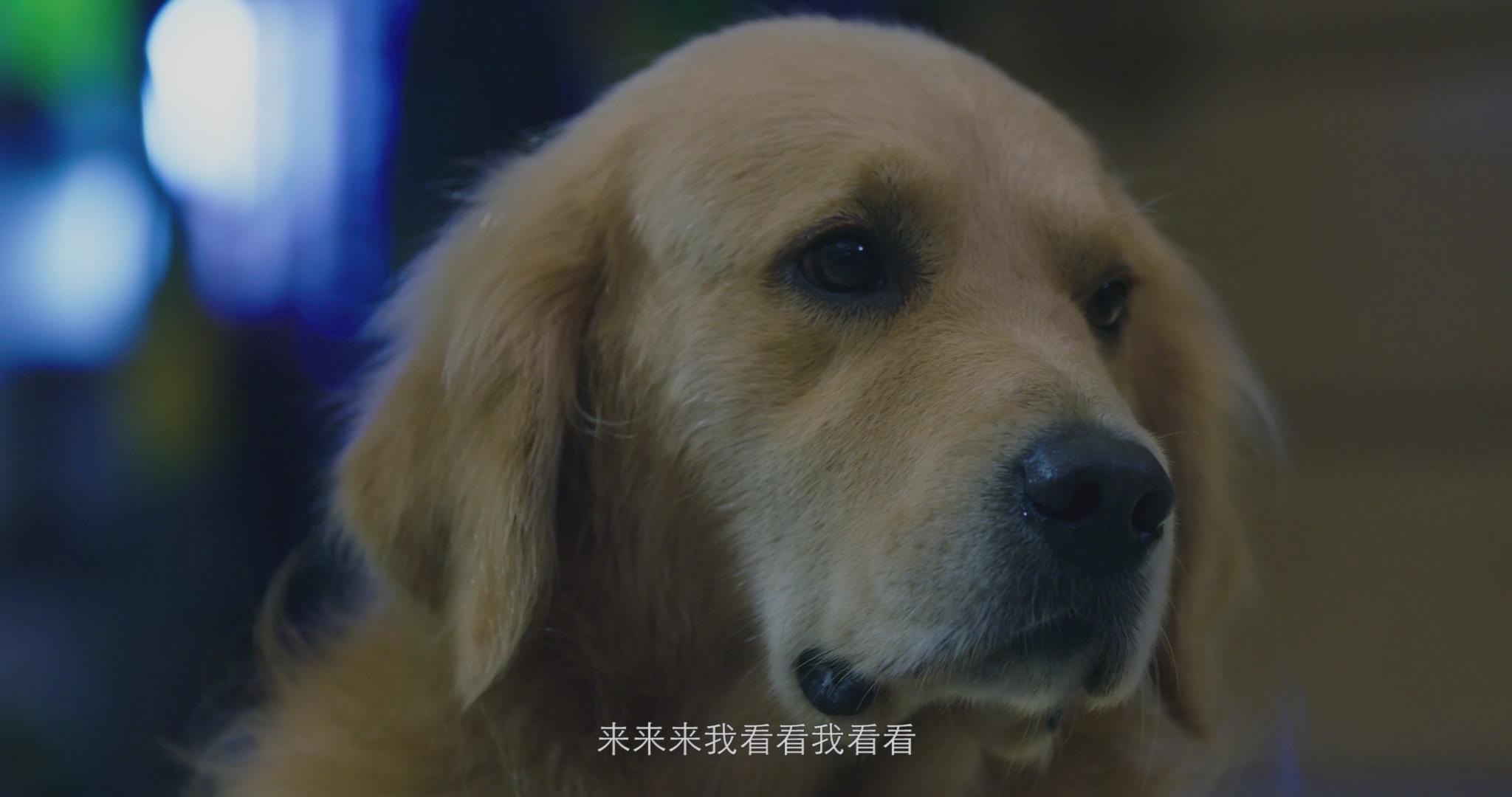 http://www.fjsenfa.cn/pics/default/download/d345ad048fb24308eb7edbda21d11288.jpg