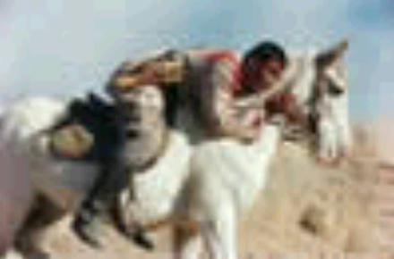 http://www.fjsenfa.cn/pics/default/download/d3bbf6825e6a165b99b027d731f649f5.jpg