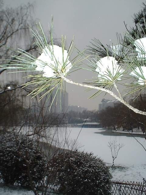 http://www.fjsenfa.cn/pics/default/download/d49f790c75cadde56d1f43b3fee05d15.jpg