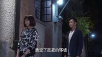 《何以笙簫默》插曲《孤獨(dú)的總和》