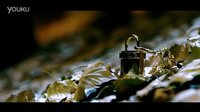 《真正男子漢》形象宣傳片：新兵戰(zhàn)士王寶強(qiáng)袁弘劉昊然郭曉冬張豐毅杜海濤熱血報(bào)到
