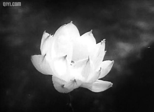 http://www.fjsenfa.cn/pics/default/download/d5ccbdacb182d875cfa2bb7255f80be4.jpg