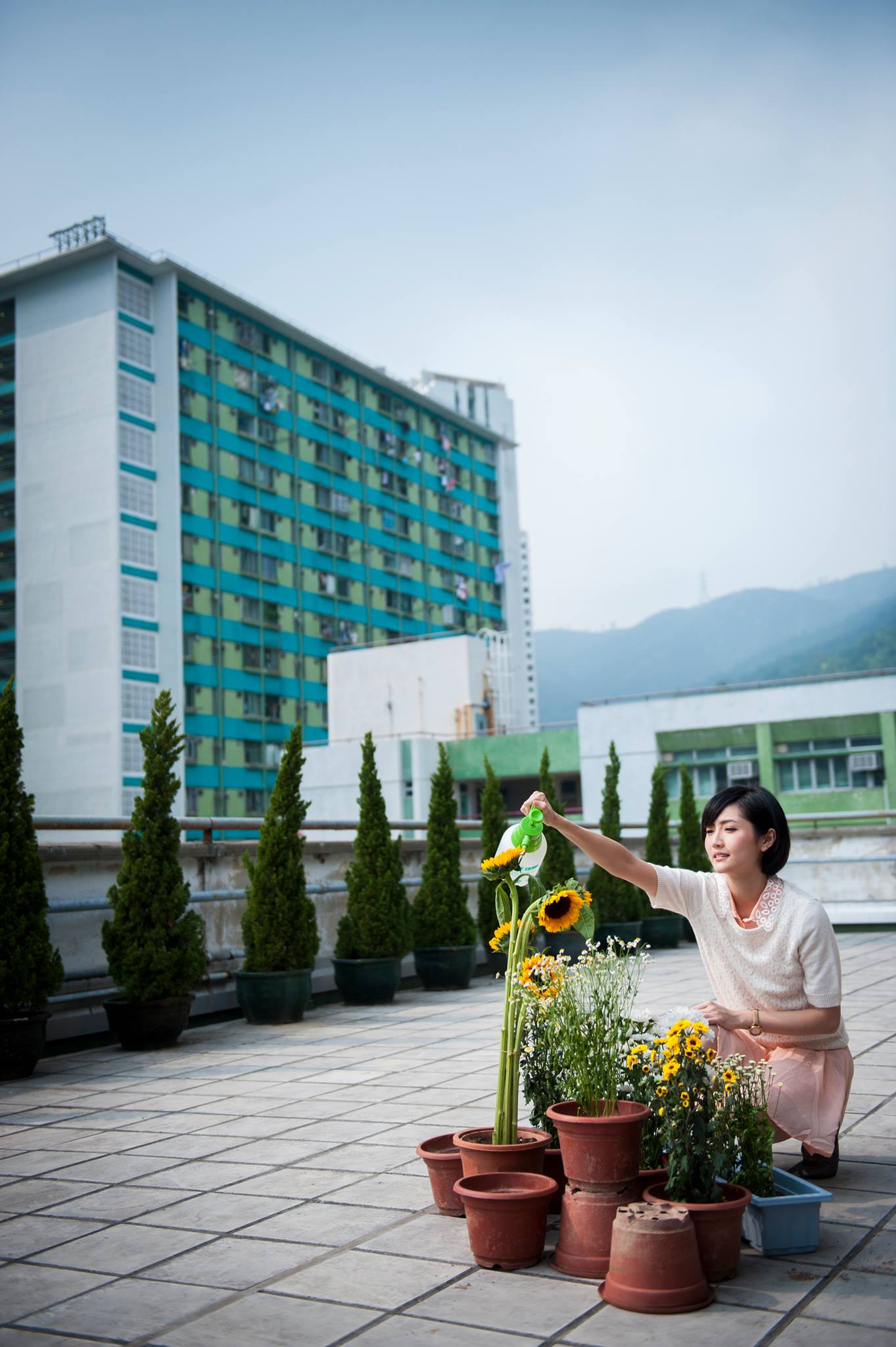 http://www.fjsenfa.cn/pics/default/download/d5ee626583a949721c6c0cd4a7b13f3b.jpg
