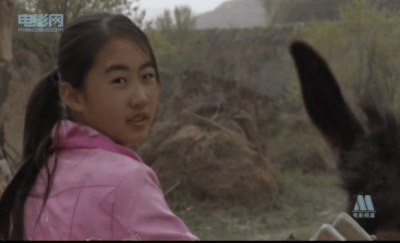 http://www.fjsenfa.cn/pics/default/download/d5f247aa54fc3a1986163b1958074e32.jpg