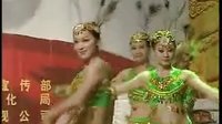 固始縣千姿舞蹈學(xué)校編排2008年春晚【碧波孔雀】