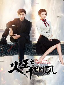火王之千里同風(fēng) DVD版
