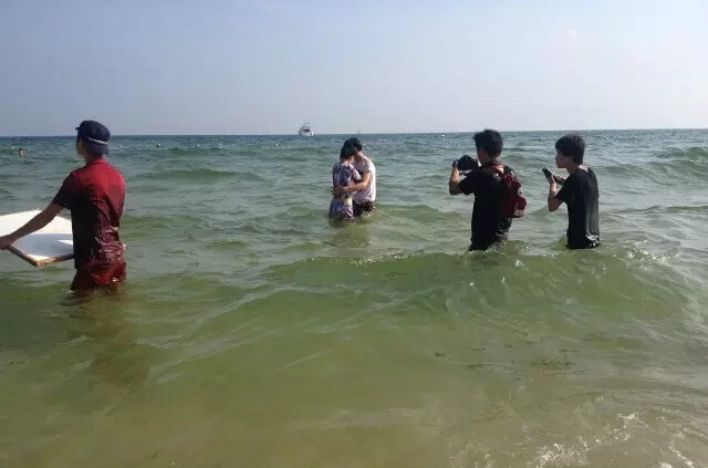 http://www.fjsenfa.cn/pics/default/download/d6561d85960df6ece87cad8925843b48.jpg