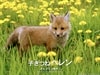 http://www.fjsenfa.cn/pics/default/download/d6a4c2b18f9b866f57bc0f6fc9affe2a.jpg