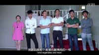 寶強車禍引發的驚天陰謀