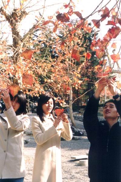http://www.fjsenfa.cn/pics/default/download/d6cd814eae2df70511483170f17a1f33.jpg