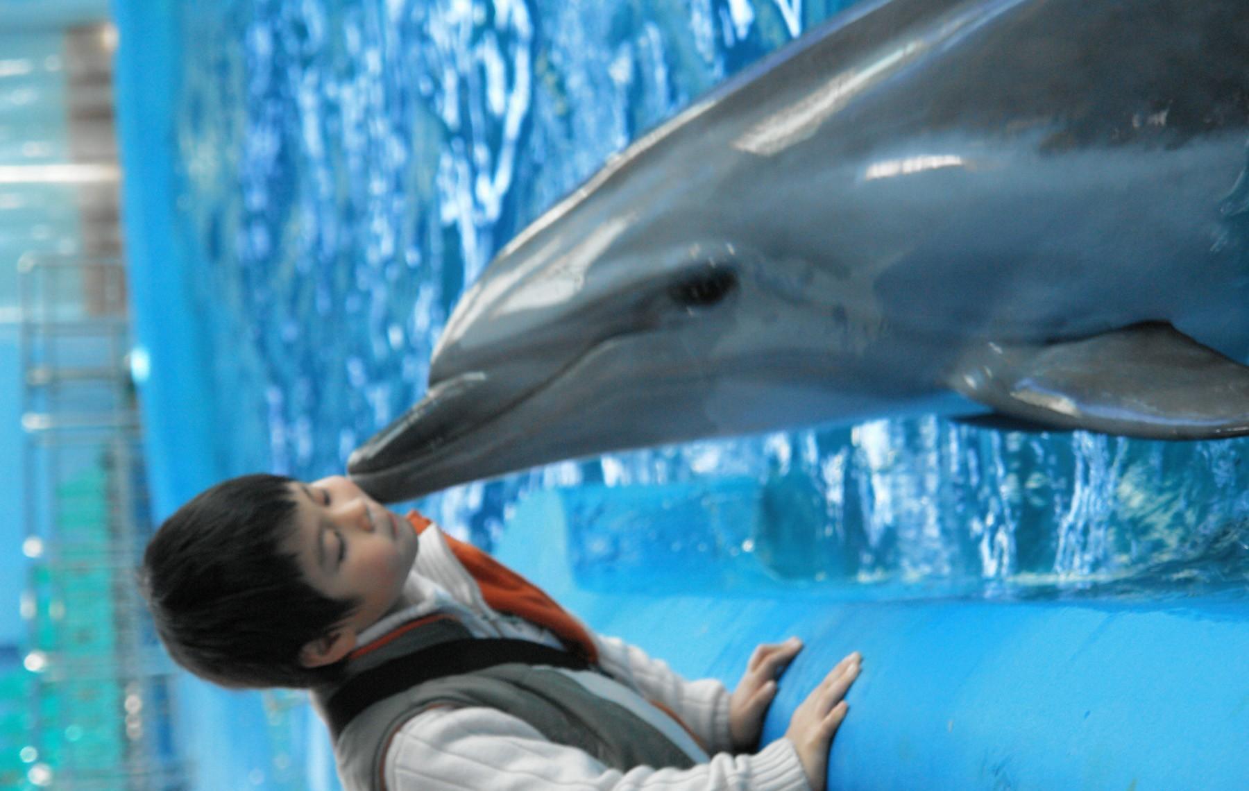 http://www.fjsenfa.cn/pics/default/download/d7b41e14239307b67e606a20be9c5f6d.jpg