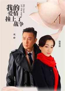 我的愛(ài)情撞上了戰(zhàn)爭(zhēng)