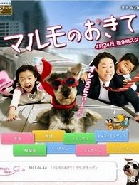 高護木的規矩