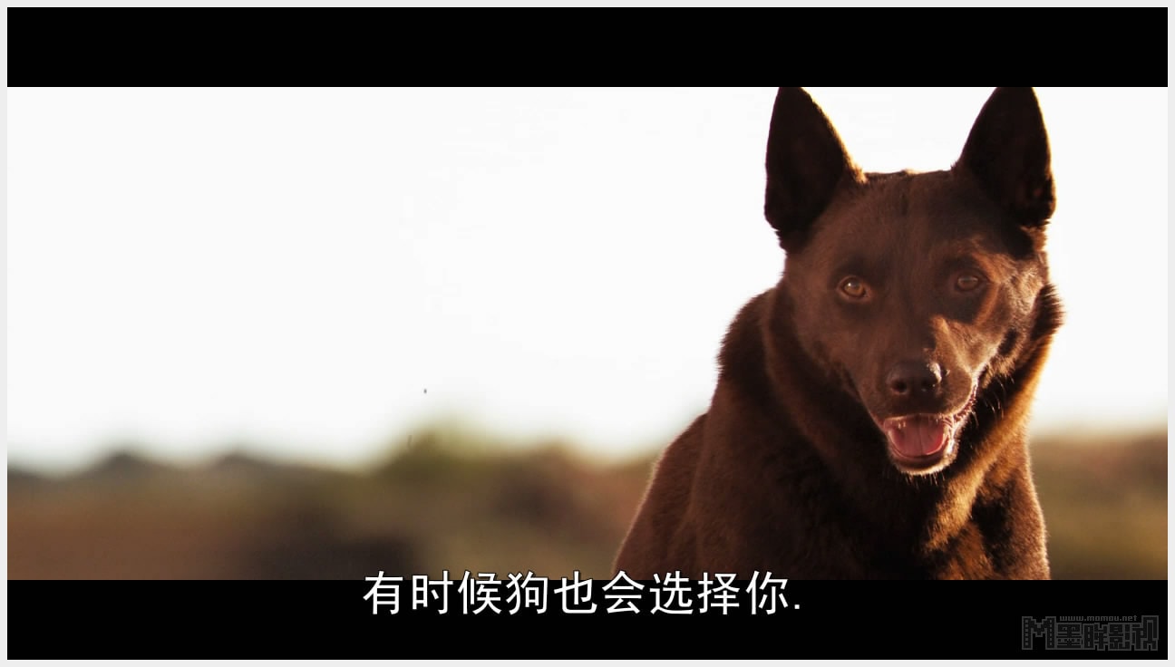 http://www.fjsenfa.cn/pics/default/download/d8f37a20bdd3269915d62cbc4e496932.jpg