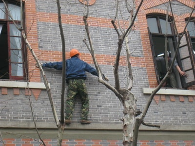 http://www.fjsenfa.cn/pics/default/download/d9428fd8074ff3324a5ed15eec463838.jpg