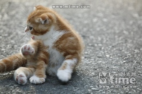 http://www.fjsenfa.cn/pics/default/download/d959fc4cf560432301b3e7c82ab94394.jpg