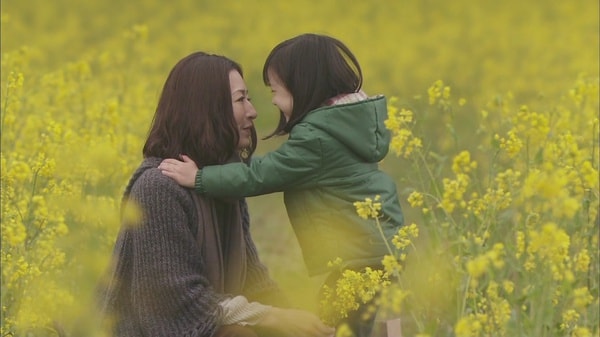 http://www.fjsenfa.cn/pics/default/download/d995dc92c87adb8cb64e0b11ca902df9.jpg
