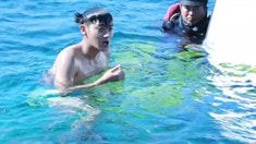 冒險(xiǎn)特輯
