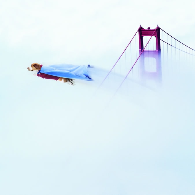 http://www.fjsenfa.cn/pics/default/download/da0697c4c8e74be791de439d5f9370f6.jpg