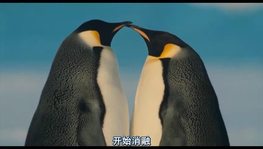 http://www.fjsenfa.cn/pics/default/download/da1af9bce0f4825e0cf3082c970b028c.jpg
