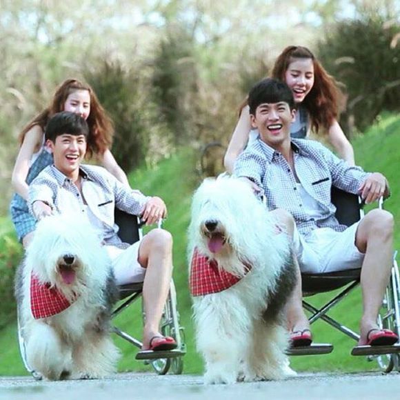 http://www.fjsenfa.cn/pics/default/download/db26d0ad305dcb0de601198e7ab860f7.jpg