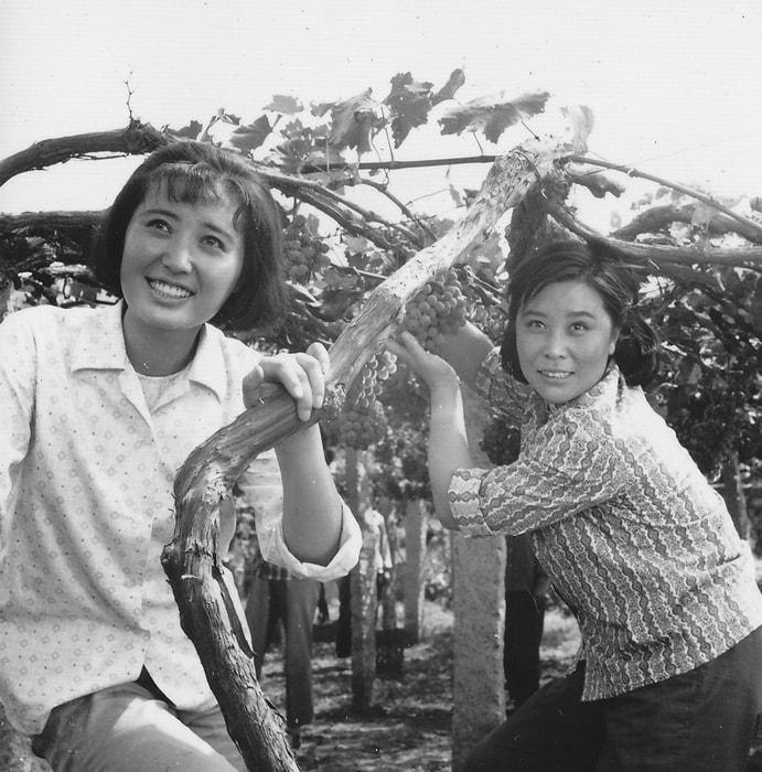 http://www.fjsenfa.cn/pics/default/download/dc0db9bc5edddf54d206bfcd2b29fcbf.jpg