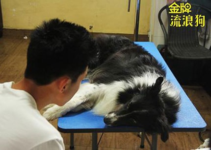 http://www.fjsenfa.cn/pics/default/download/dc472821505b8119ac9a2d1d4da1b8e5.jpg
