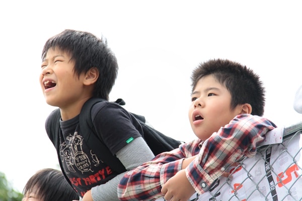 http://www.fjsenfa.cn/pics/default/download/dc57c39fb5ff155594f46f4f5be77e04.jpg