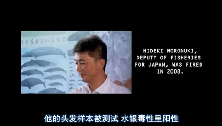 http://www.fjsenfa.cn/pics/default/download/dc7bc85561d6f61d00a5d095a207ad60.jpg