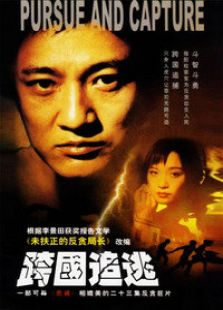 跨國(guó)追逃