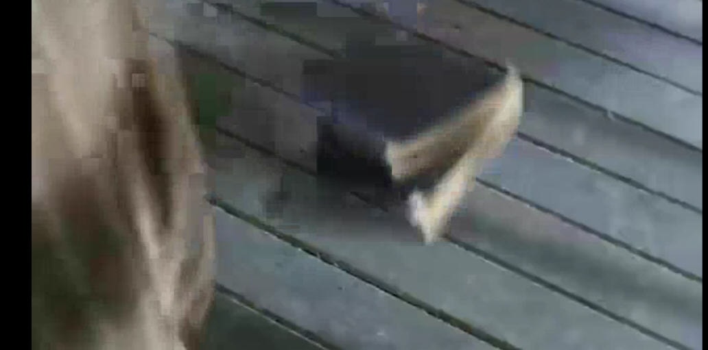 http://www.fjsenfa.cn/pics/default/download/dd4ded9ea8e6fd8b2ebf314ffeec3cf9.jpg