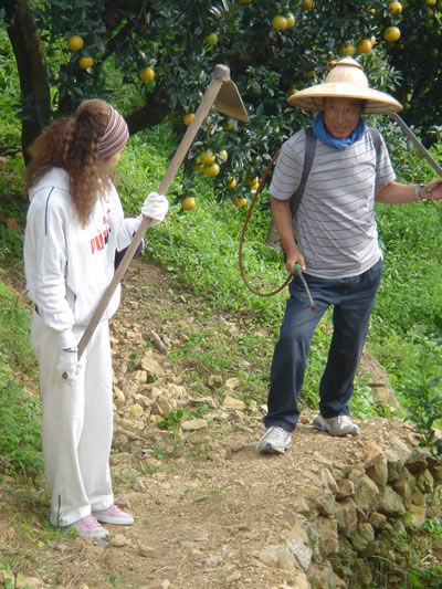 http://www.fjsenfa.cn/pics/default/download/dda06d93ba1dcf9d0a389ff654f40158.jpg