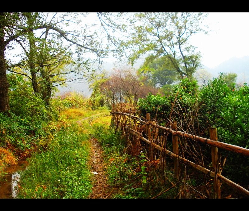 http://www.fjsenfa.cn/pics/default/download/df9a0a6c1e203db42bcd5eaabdff9a0a.jpg