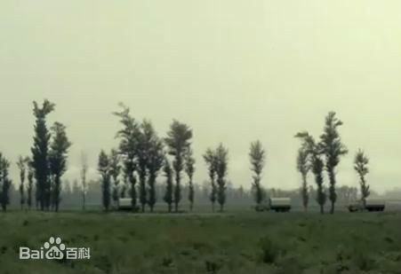 http://www.fjsenfa.cn/pics/default/download/e09178799a7446ad0a1a450bf70f8c21.jpg