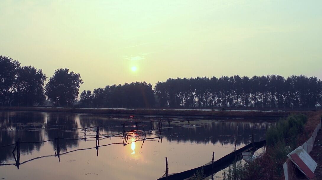 http://www.fjsenfa.cn/pics/default/download/e0dec67a228bf54d543f3a072c1f290e.jpg