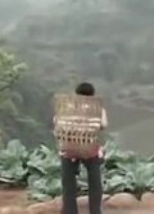 背鴨子的男孩