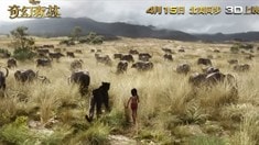 中國版加長預(yù)告片