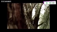 非常值得看，真愛不怕任何困難#音樂##熱門...|你是初戀?